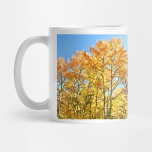 Colorado Aspen Groves and Fall Colors Mug